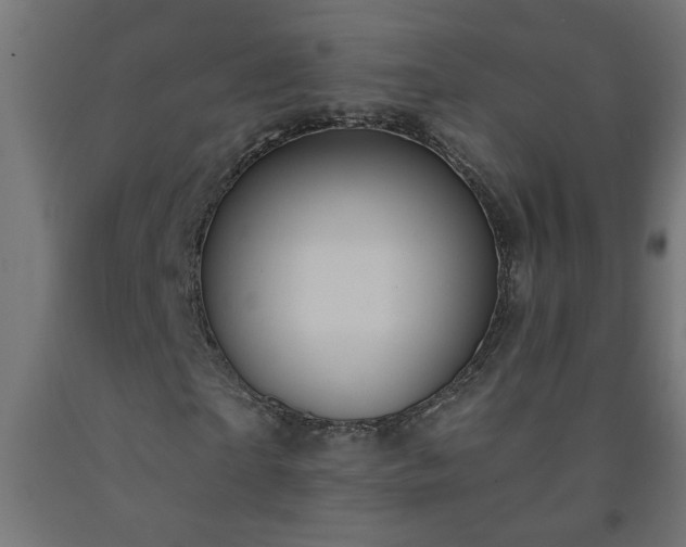 X0000093250865200710031602