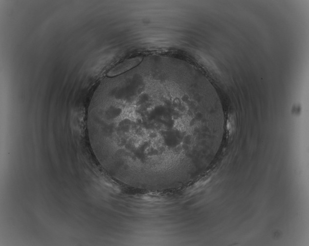 X0000093250867200710031602