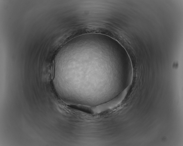 X0000093250868200710031602