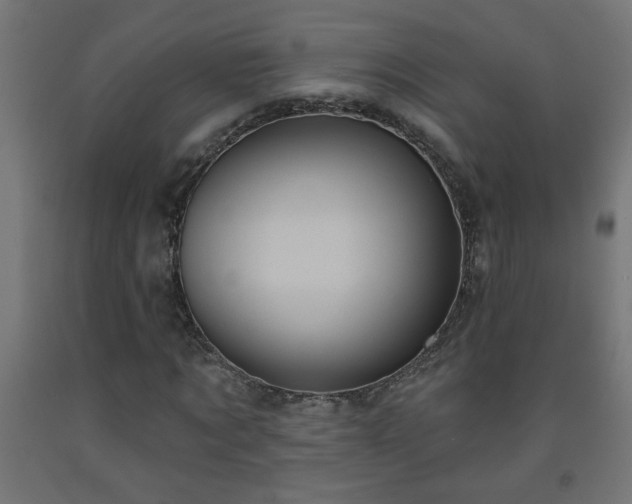 X0000093250869200710031602