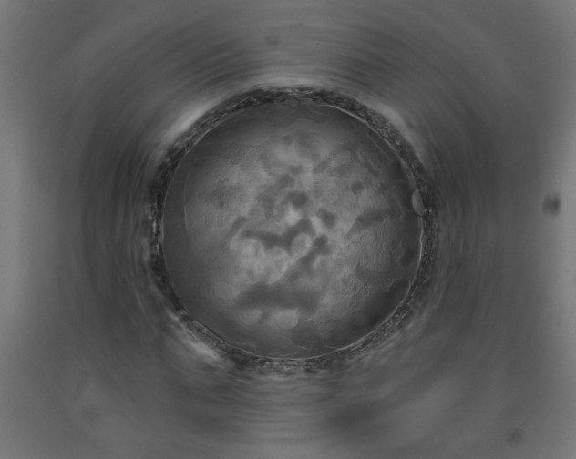 X0000093250871200710031602