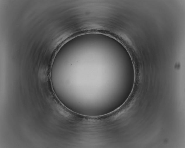 X0000093250873200710031602