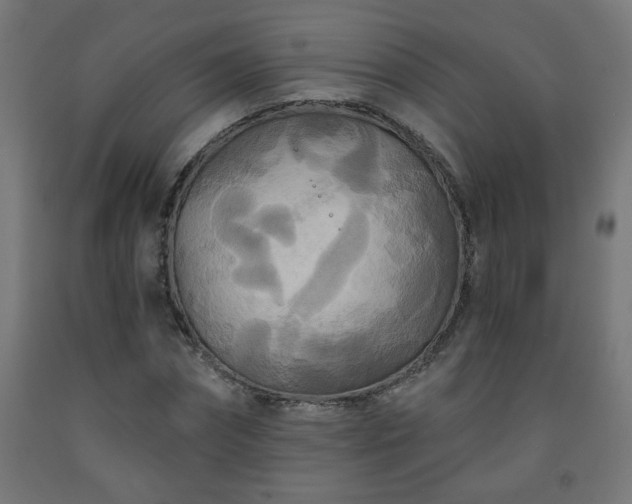 X0000093250874200710031602