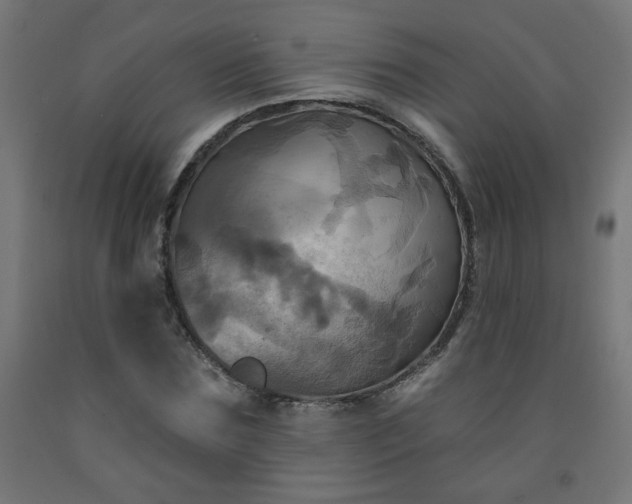 X0000093250875200710031602