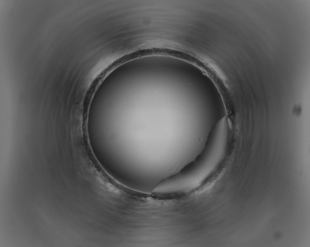 X0000093250877200710031602