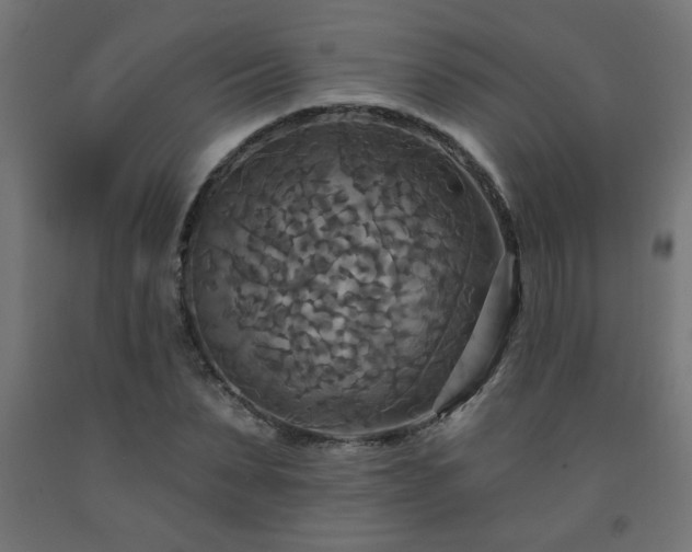 X0000093250879200710031602