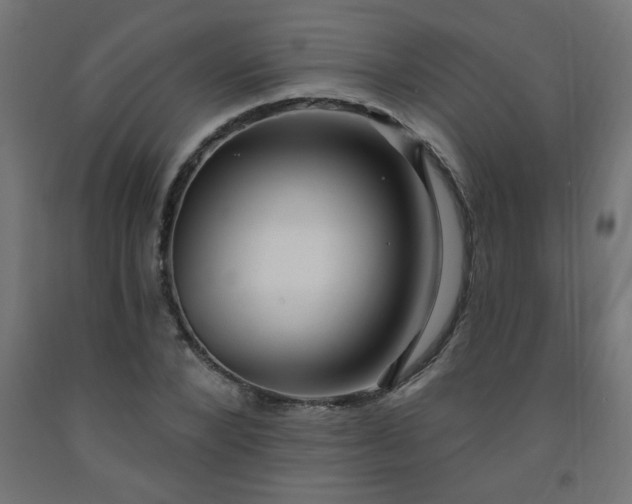 X0000093250880200710031602