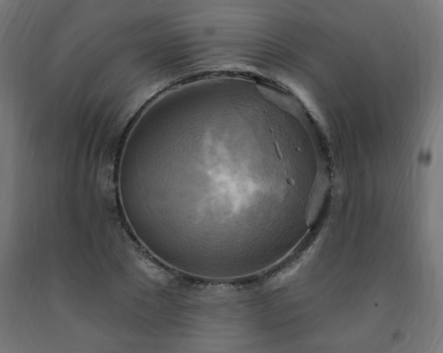 X0000093250881200710031602