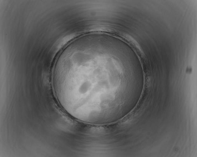 X0000093250882200710031602