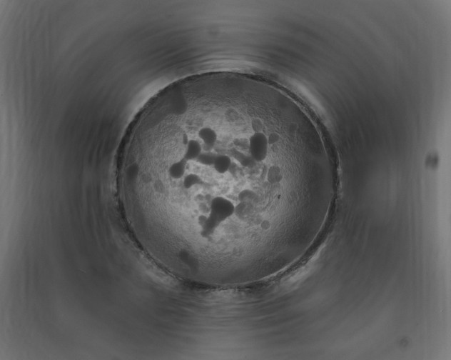 X0000093250883200710031602