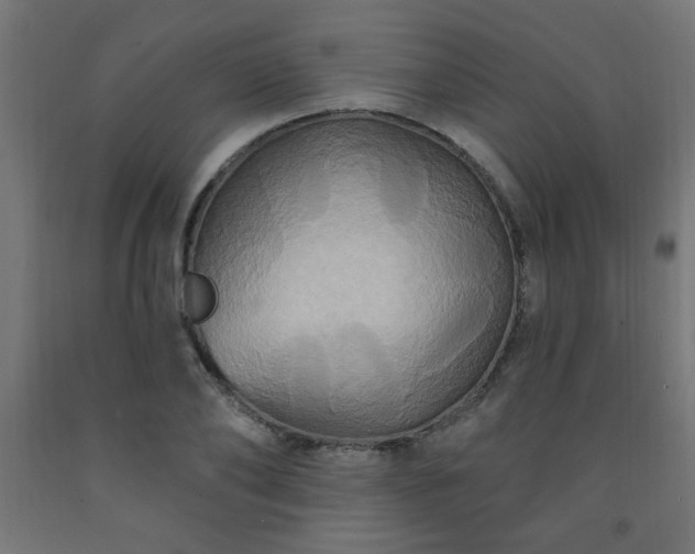 X0000093250886200710031602