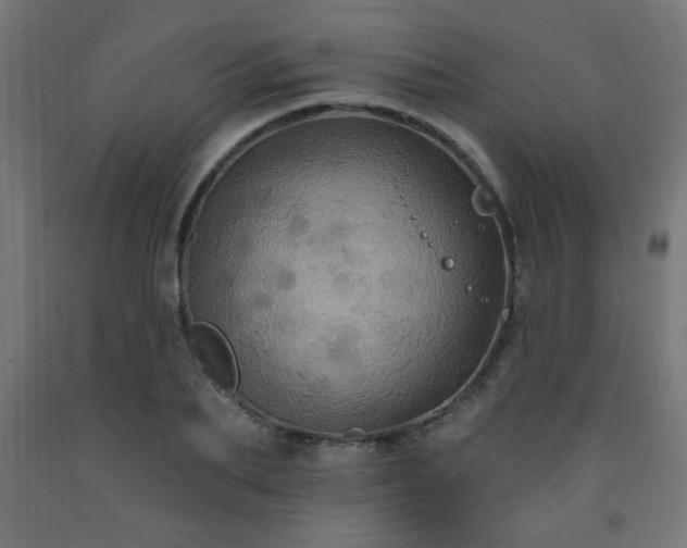 X0000093250887200710031602