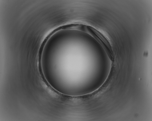 X0000093250888200710031602