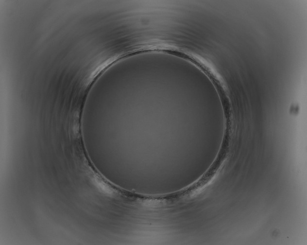 X0000093250889200710031602