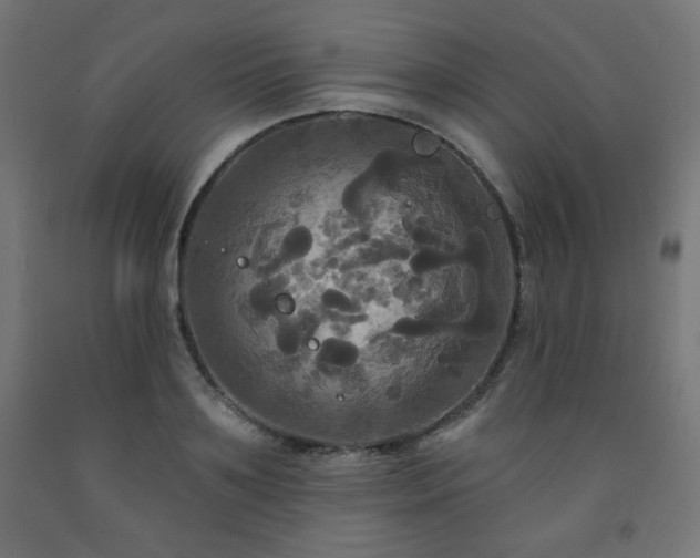 X0000093250891200710031601