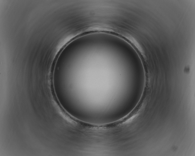 X0000093250893200710031601