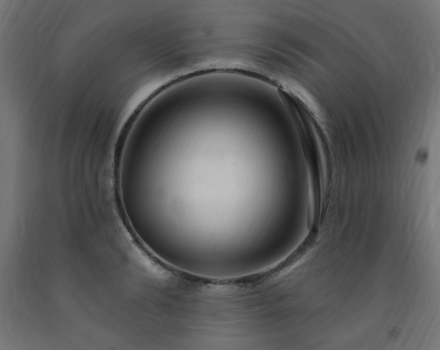 X0000093250894200710031601