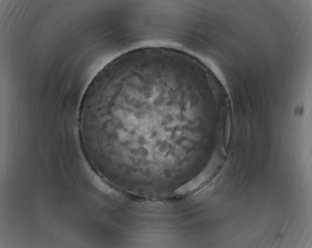 X0000093250895200710031601