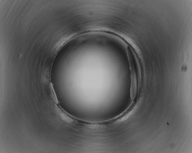 X0000093250897200710031601