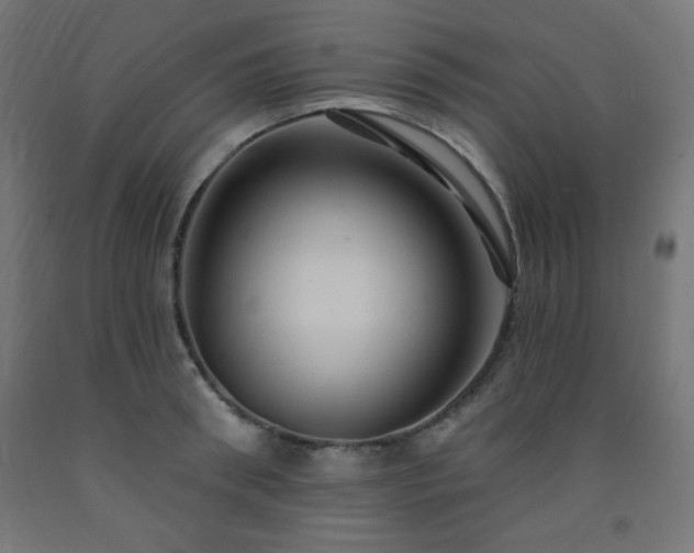 X0000093250898200710031601