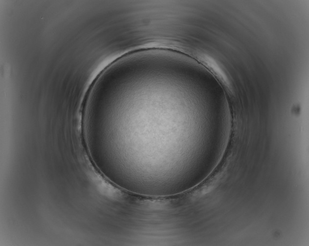 X0000093250900200710031601