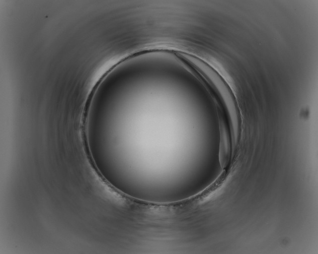 X0000093250901200710031601