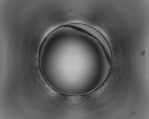 X0000093250902200710031601