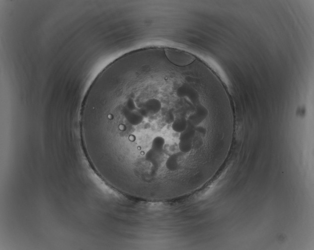 X0000093250903200710031601