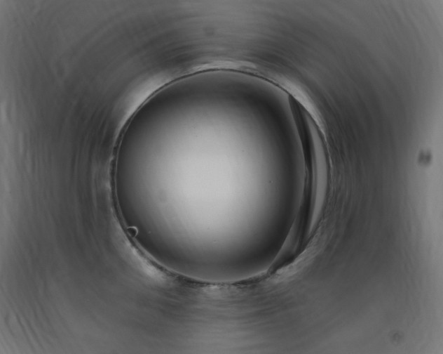 X0000093250906200710031601