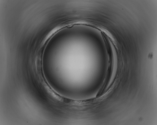 X0000093250910200710031601