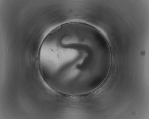 X0000093250911200710031601