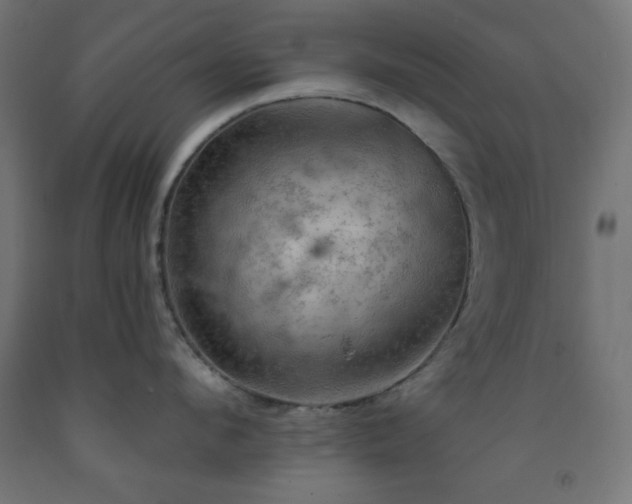 X0000093250912200710031601