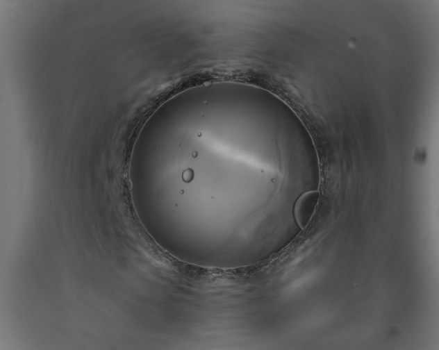 X0000093250913200710031600