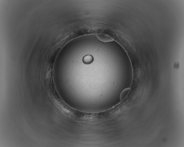 X0000093250914200710031600