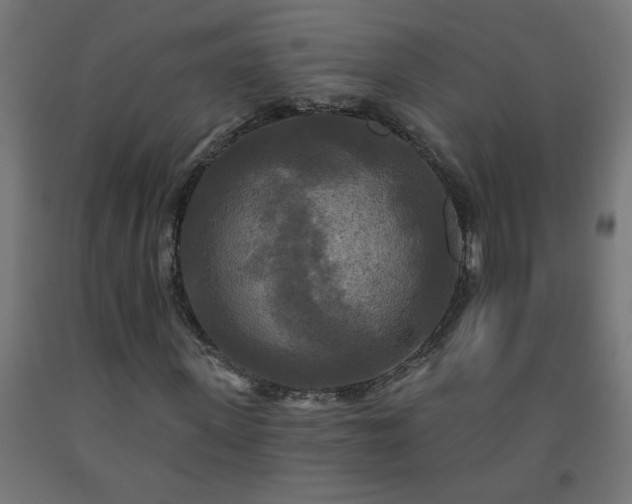 X0000093250915200710031600