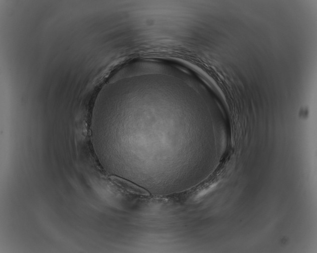 X0000093250916200710031601