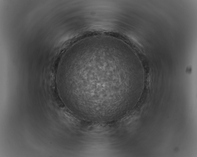 X0000093250917200710031601