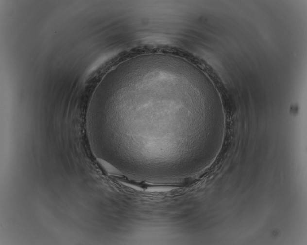 X0000093250919200710031601