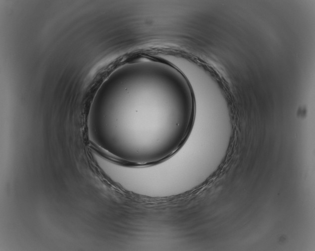 X0000093250920200710031601