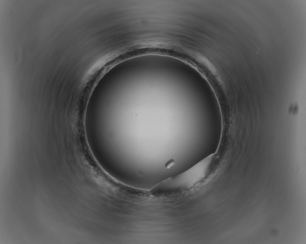 X0000093250922200710031601