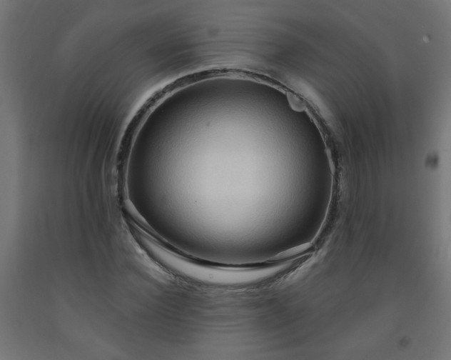 X0000093250924200710031601