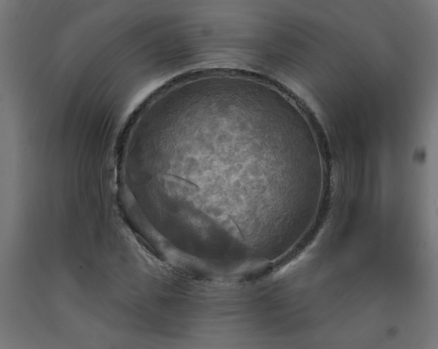 X0000093250925200710031601