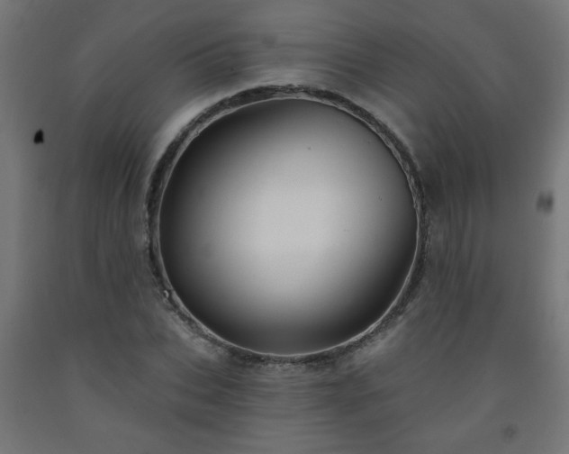 X0000093250927200710031601