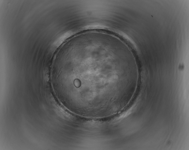 X0000093250929200710031601