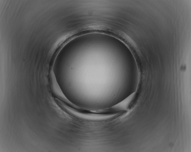 X0000093250930200710031601