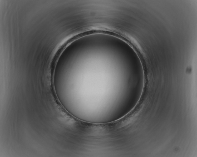 X0000093250931200710031601