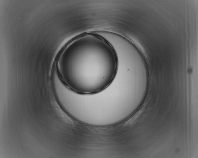 X0000093250932200710031601