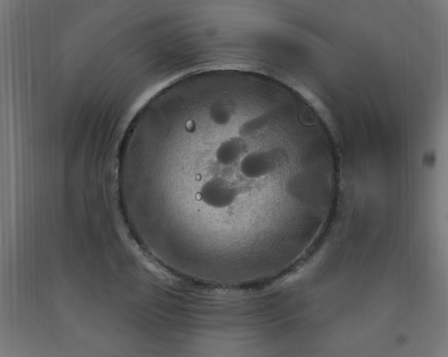 X0000093250933200710031601