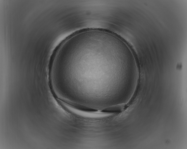 X0000093250935200710031601