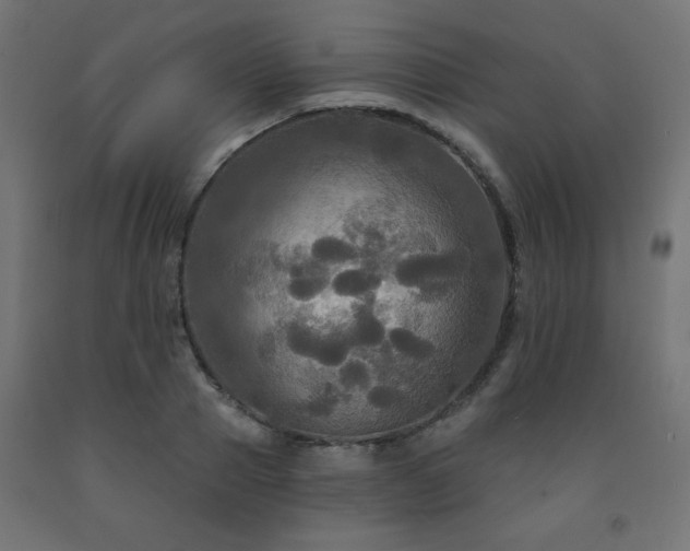 X0000093250937200710031601